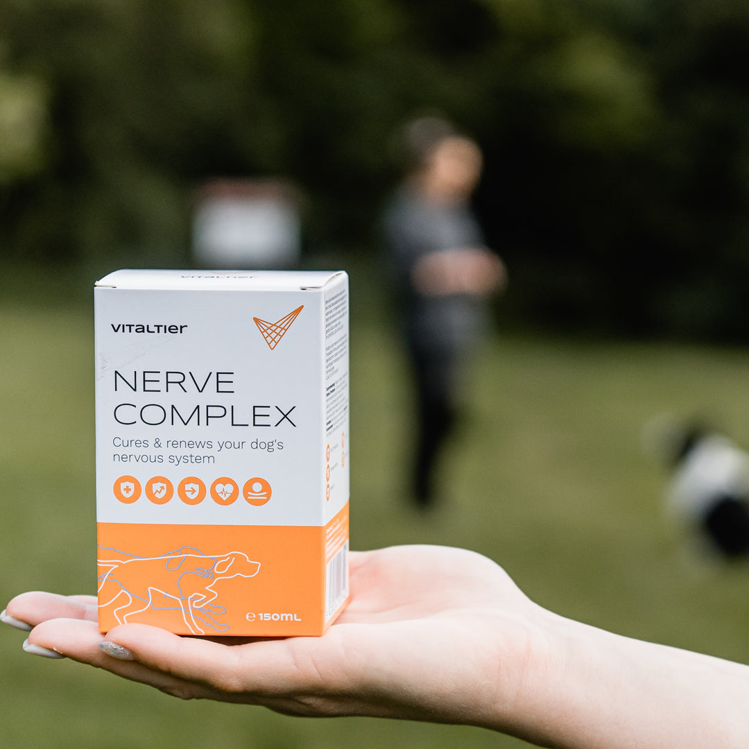Nerve Complex