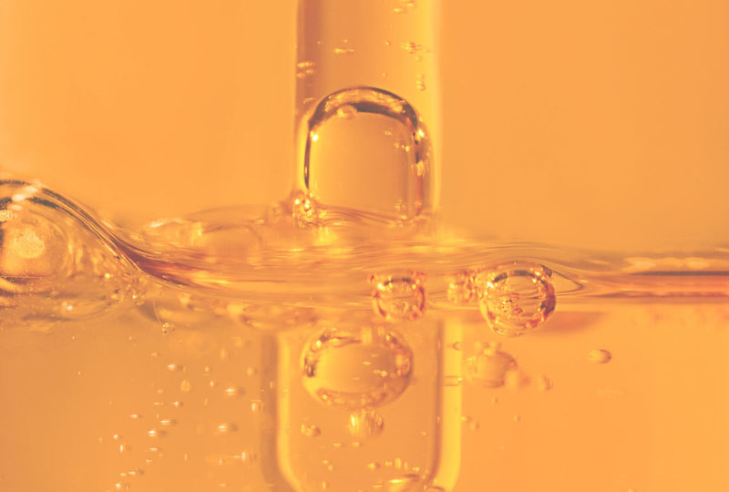 Így védd meg kutyád kötőszöveteit, csontjait és ínszalagjait!