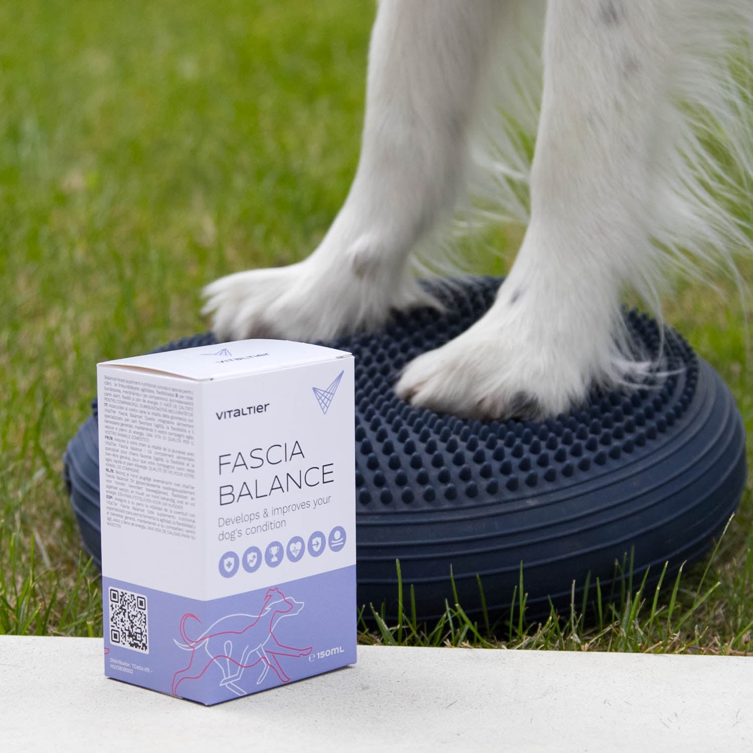 Vitaltier Fascia Balance