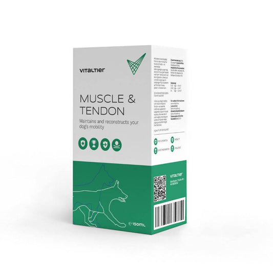 Vitaltier Muscle and tendon